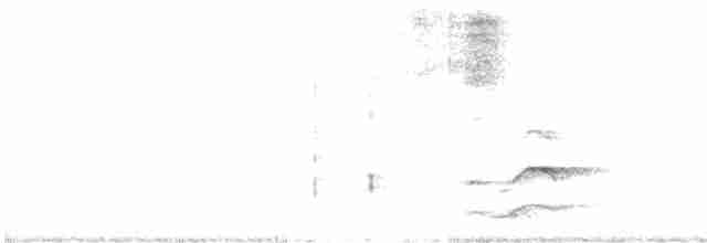 Urubi arrunta - ML615576314