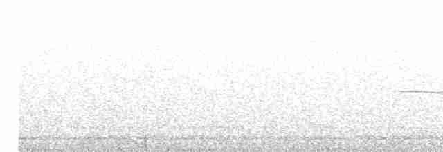gråbrystbrillefugl - ML615577831