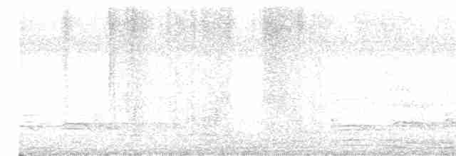 Зозуля білогорла - ML615578451