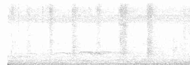 Зозуля білогорла - ML615578458