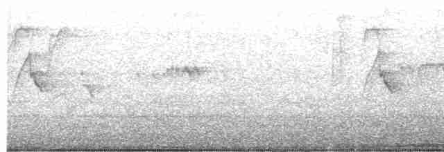 琉球山椒鳥 - ML615578496