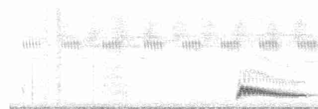 Augennachtschwalbe - ML615578700