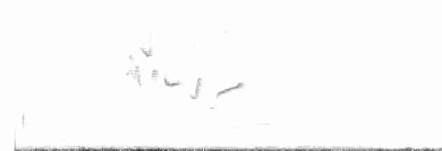 Dromoïque vif-argent - ML615578933