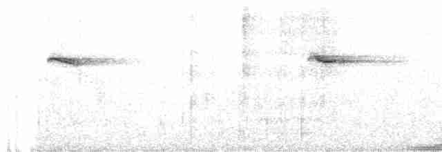 Вилохвістка плямиста - ML615583038