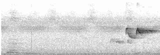 Нільтава синьоголова (підвид dialilaemus/rogersi) - ML615583603