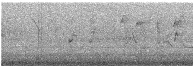 Evening Grosbeak (type 3) - ML615584352