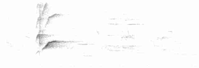 Акепа гавайська - ML615584869