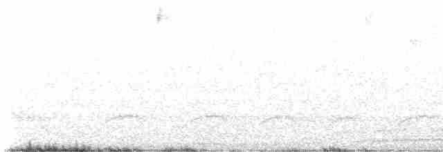 hussmett (grenadensis) - ML615585134