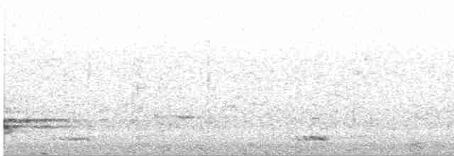 Kara Taşkuşu - ML615588318