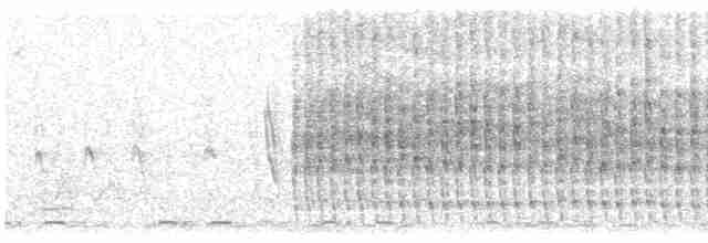 Сероголовый зимородок - ML615591645