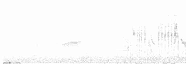 Кропив’янка середземноморська - ML615592382
