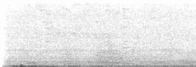 Чешуйчатогрудый пересмешник - ML615593065
