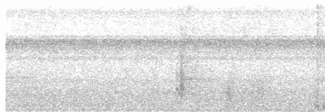 Рибалочка-чубань неотропічний - ML615596165