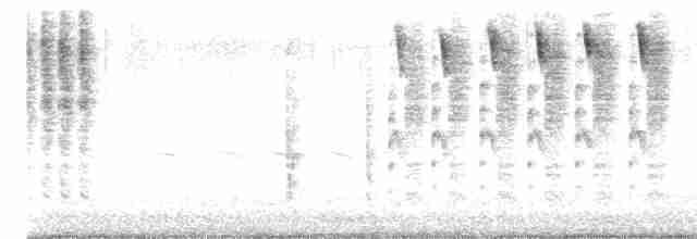 Troglodyte des marais - ML615596243