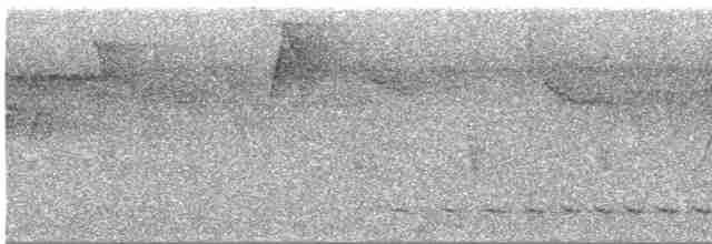 Белохвостый трогон - ML615596502