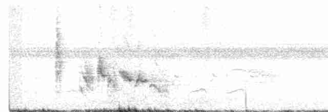 White-eyed Vireo (White-eyed) - ML615597296
