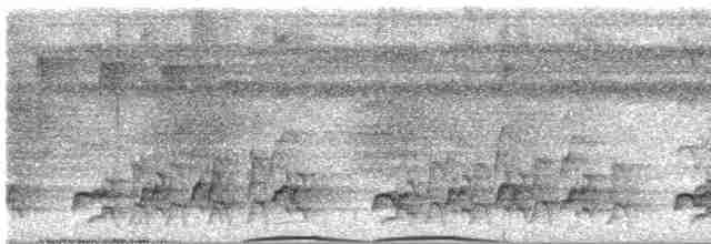 Лінивка-чорнопер білолоба - ML615597726