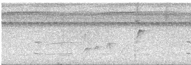 Жемчужношапочный батарито - ML615597735