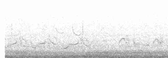 Кактусовый пересмешник - ML615597896