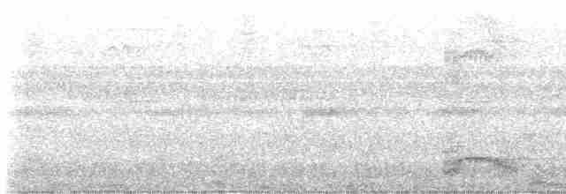 Гваделупский дятел - ML615598445