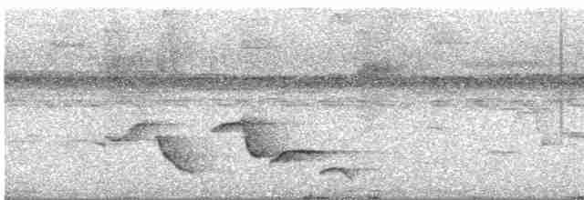 Kurum Başlı Çıtkuşu - ML615599351