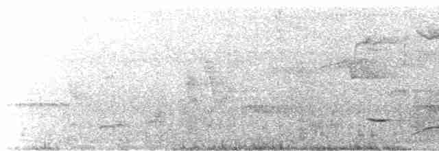 Kara Gerdanlı Çıtkuşu - ML615600078