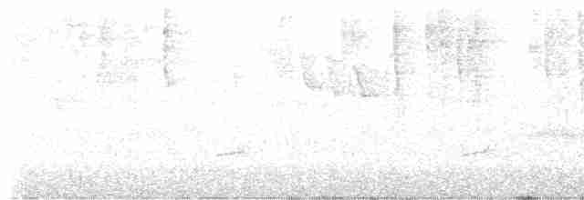 Pèrenoir rougegorge - ML615600428