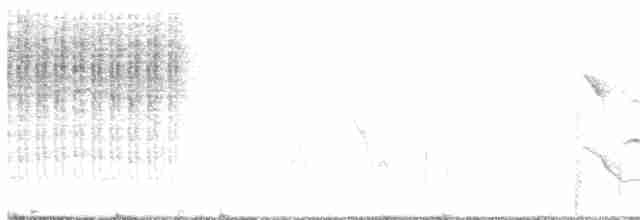 Troglodyte de Zapata - ML615600796