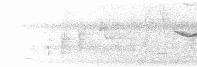 Kara Başlı Çıtkuşu [castaneus grubu] - ML615600824