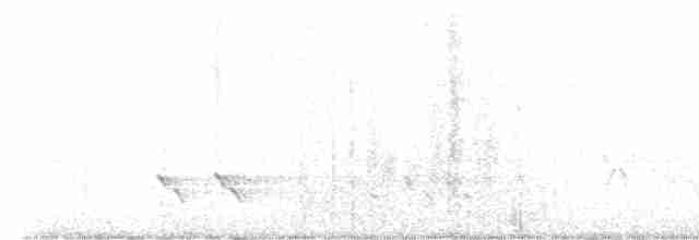 Çizgili Panterkuşu [melanocephalus grubu] - ML615601986