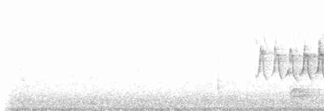 Юнко сірий [група oreganus] - ML615604893