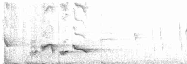 Weißbrauenrötel - ML615604907