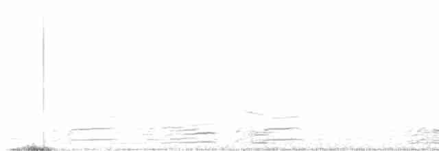 Horned Grebe - ML615606295