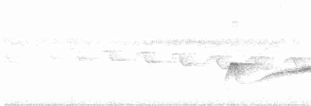 Kahverengi Amazon Sinekkapanı (duidae) - ML615608610