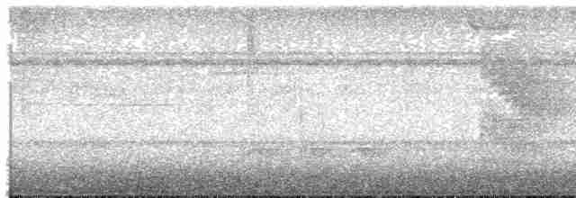 Gözlüklü Yerçavuşu - ML615612864