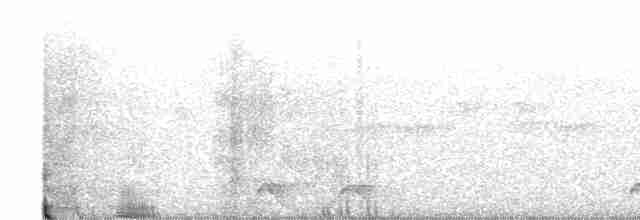 Fleckennachtschwalbe - ML615613211