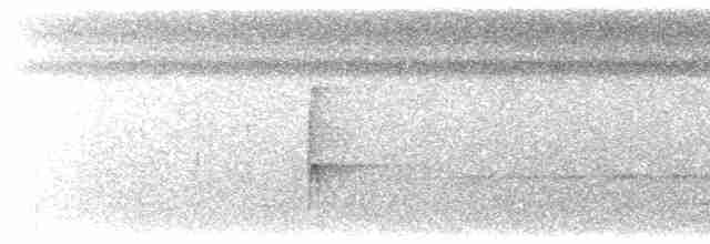 Тиранчик-мухолюб вохристий - ML615614028