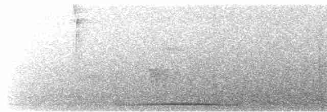 Kısa Gagalı Kızılca Güvercin - ML615616189