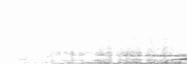 White-throated Nightjar - ML615616712