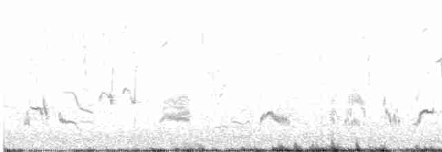 Тремблер кактусовий - ML615616829