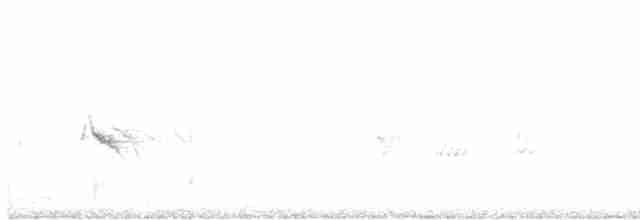 Evening Grosbeak (type 1) - ML615617248