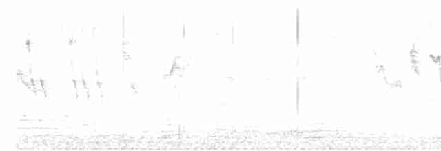 斑文鳥 - ML615618350