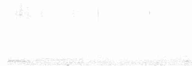 斑文鳥 - ML615618572