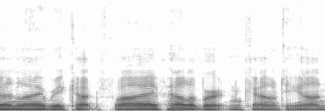 Common Merganser (North American) - ML61562