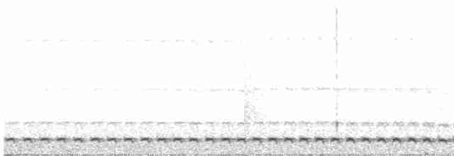 Chevêchette cuculoïde - ML615620179