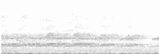 Streifenbülbülhäherling - ML615620214