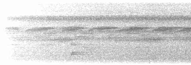 Bändernachtschwalbe - ML615620706