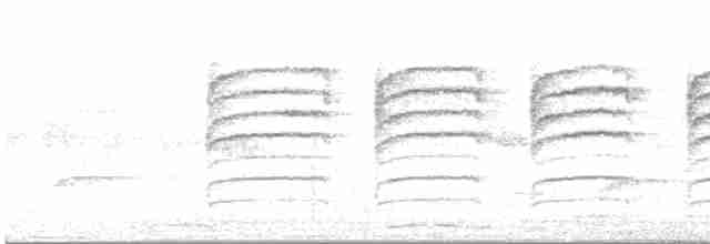 Camaroptère à tête grise (groupe brevicaudata) - ML615624153