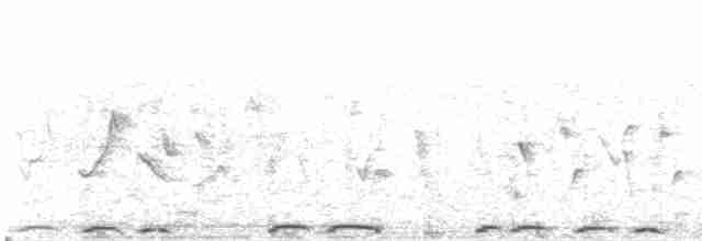 Halkalı Kap Kumrusu - ML615624311