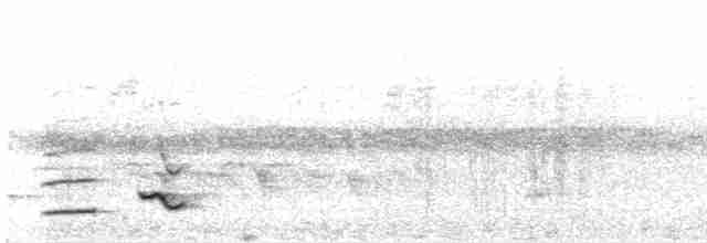 Рувензорская славка-монашка - ML615624397